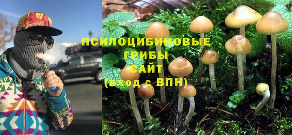 твердый Горно-Алтайск