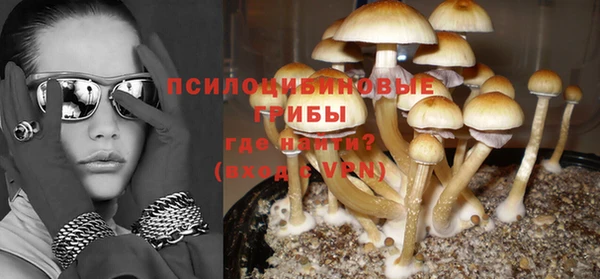 бутират Вяземский