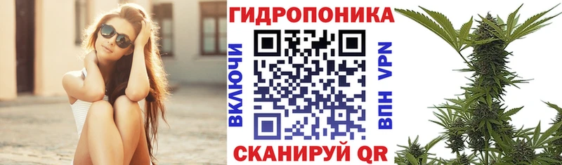 МАРИХУАНА OG Kush Красный Сулин